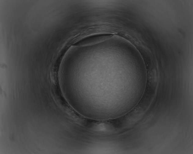 X0000090980755200708021458
