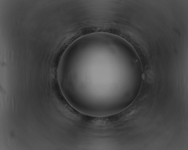 X0000090980756200708021458