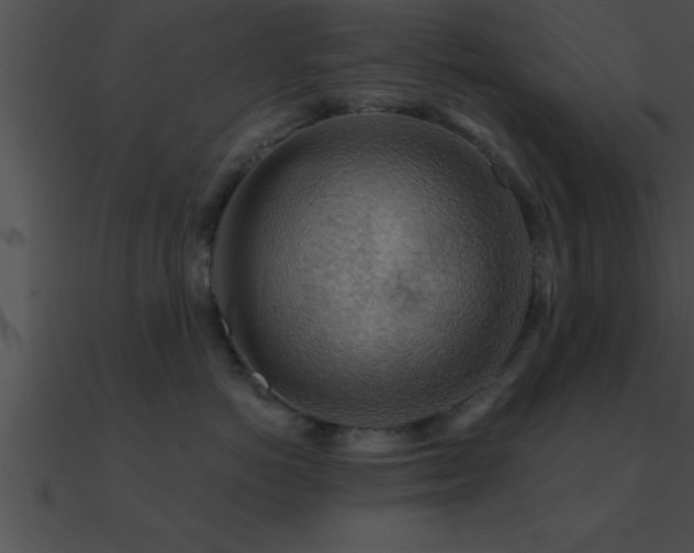 X0000090980766200708021459