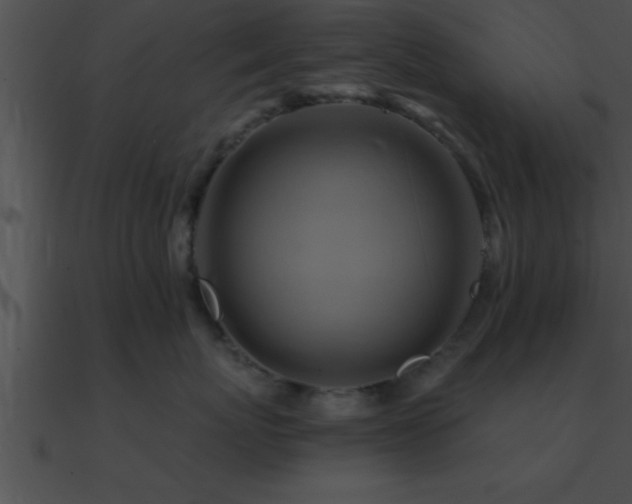 X0000090980767200708021459