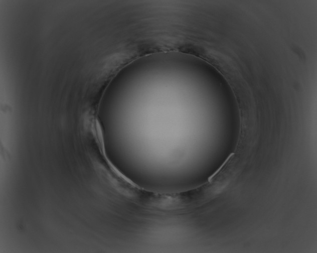 X0000090980768200708021459