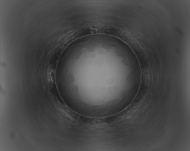 X0000090980770200708021458