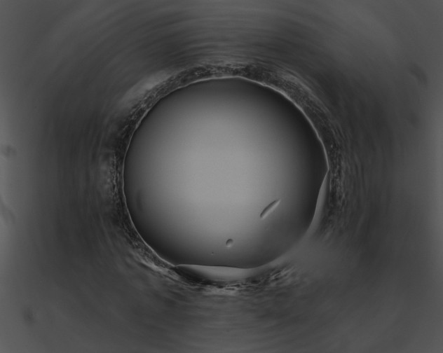 X0000090980773200708021458