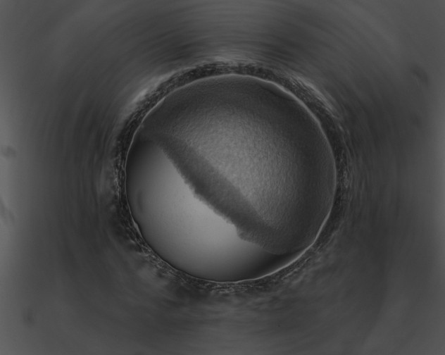 X0000090980776200708021458