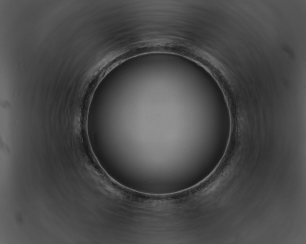 X0000090980778200708021458