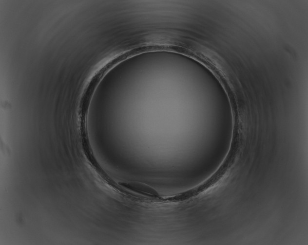 X0000090980779200708021458