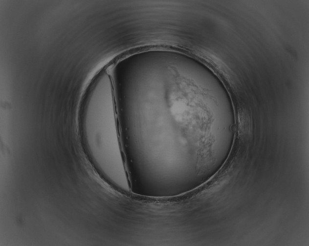 X0000090980780200708021458
