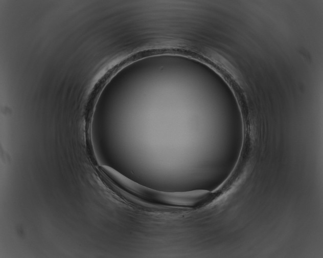 X0000090980781200708021458
