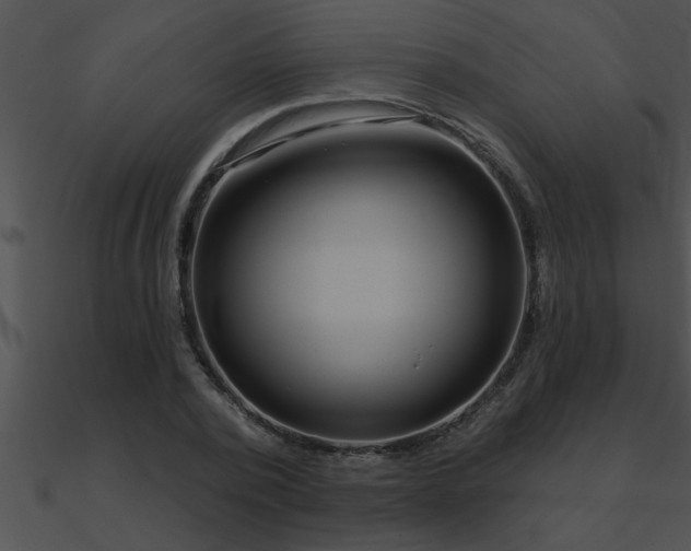 X0000090980784200708021457
