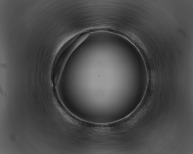 X0000090980789200708021457
