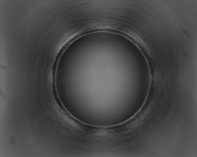 X0000090980790200708021457
