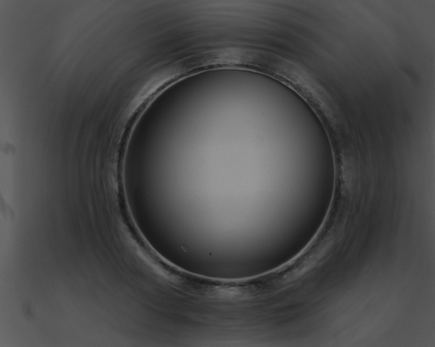 X0000090980794200708021457