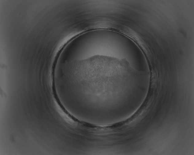 X0000090980795200708021457