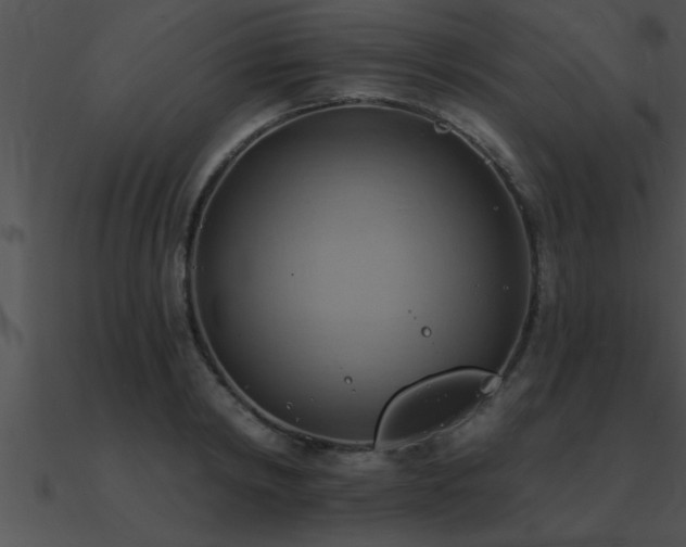 X0000090980798200708021457