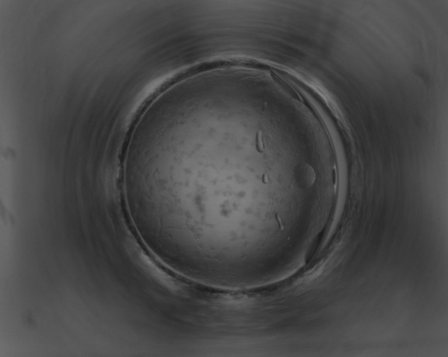 X0000090980799200708021457