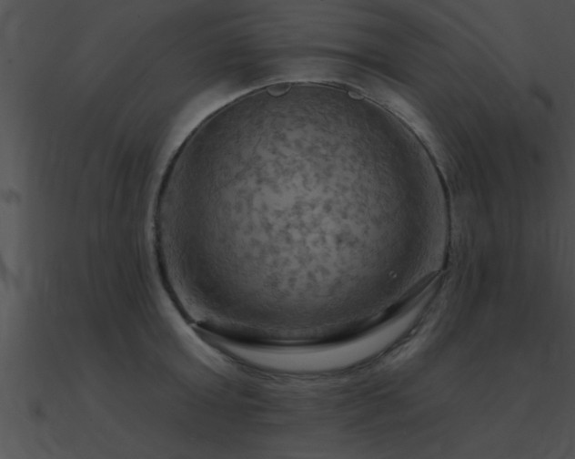 X0000090980803200708021457