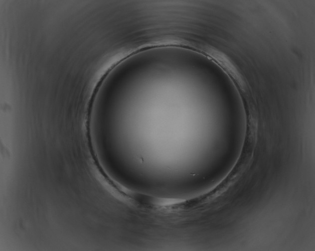 X0000090980805200708021457