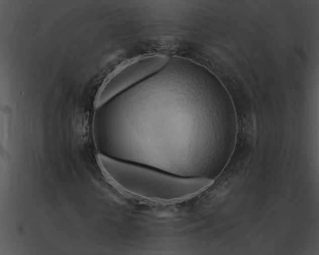 X0000090980818200708021456