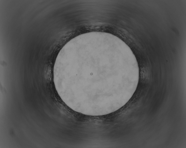 X0000090980820200708021456