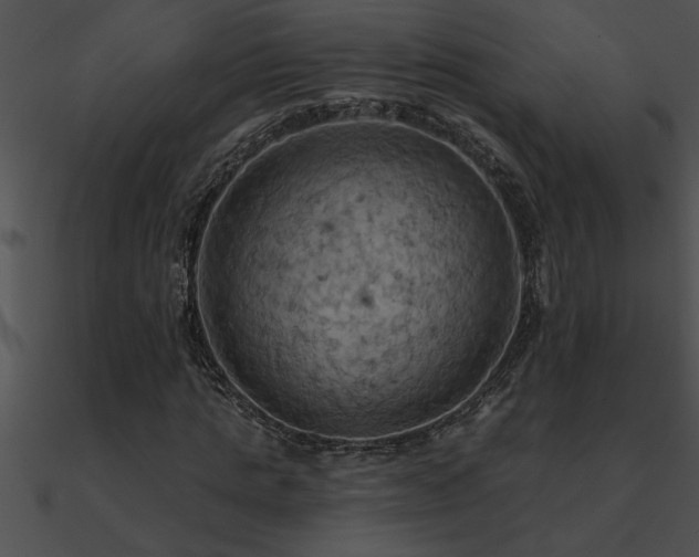 X0000090980821200708021456