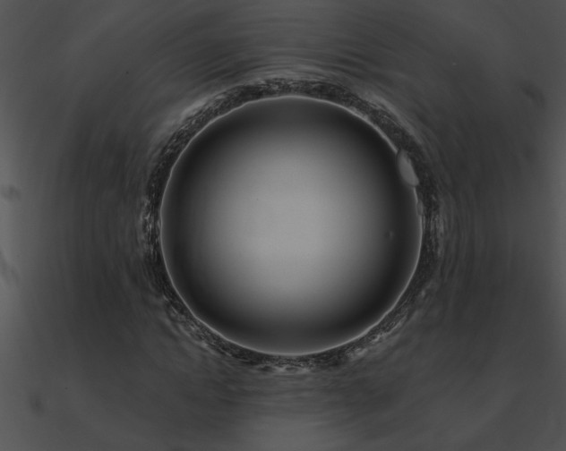 X0000090980822200708021456