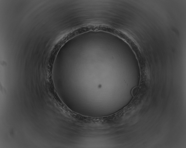 X0000090980823200708021456