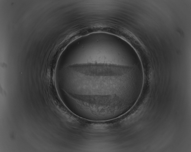 X0000090980825200708021456