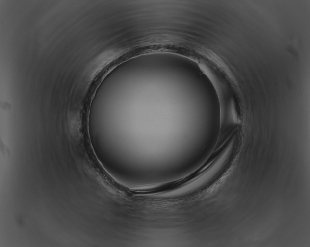 X0000090980826200708021456