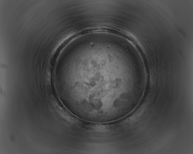 X0000090980827200708021456