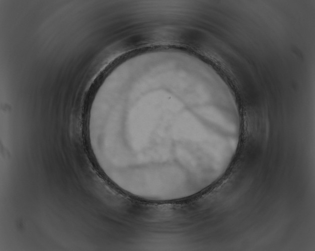 X0000090980828200708021456