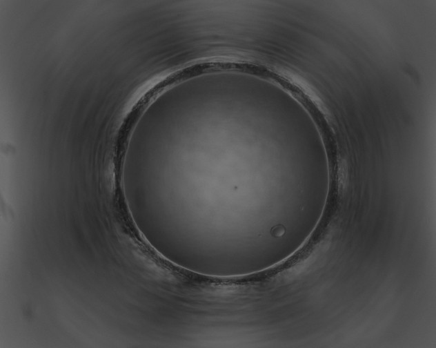 X0000090980829200708021456