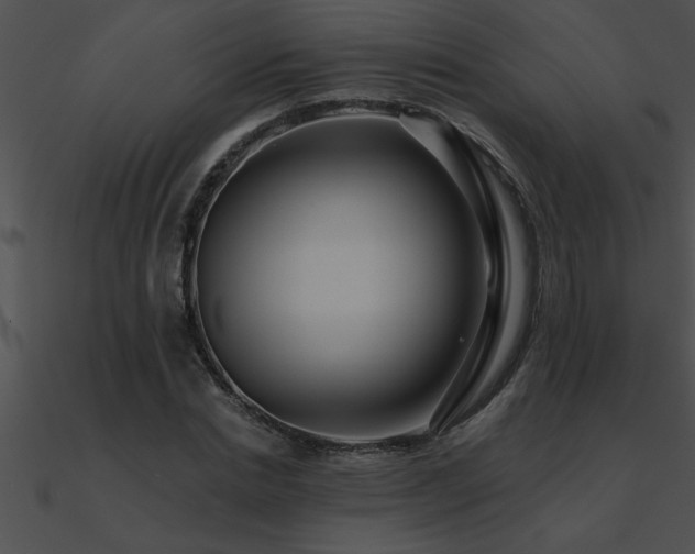X0000090980830200708021456