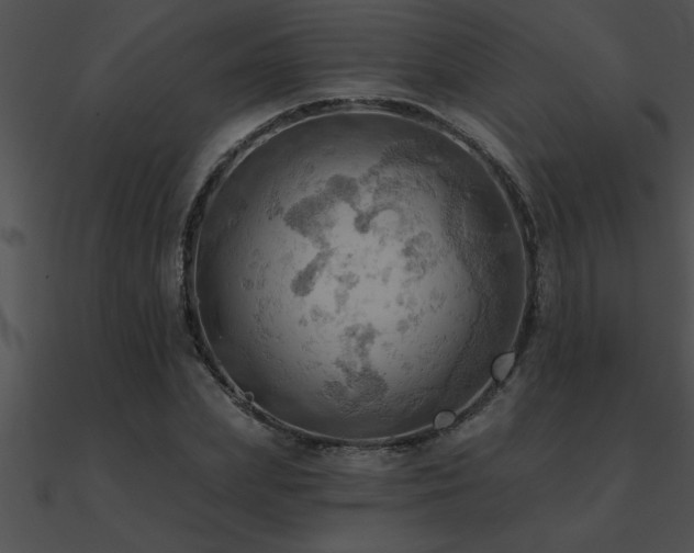 X0000090980831200708021456