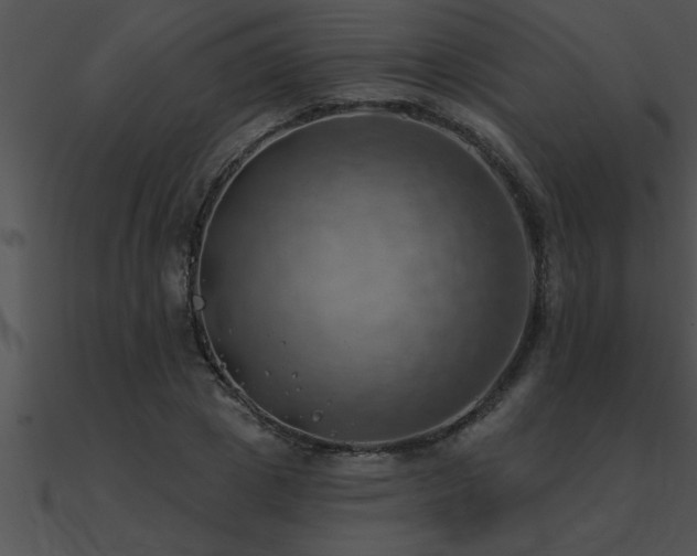 X0000090980833200708021456