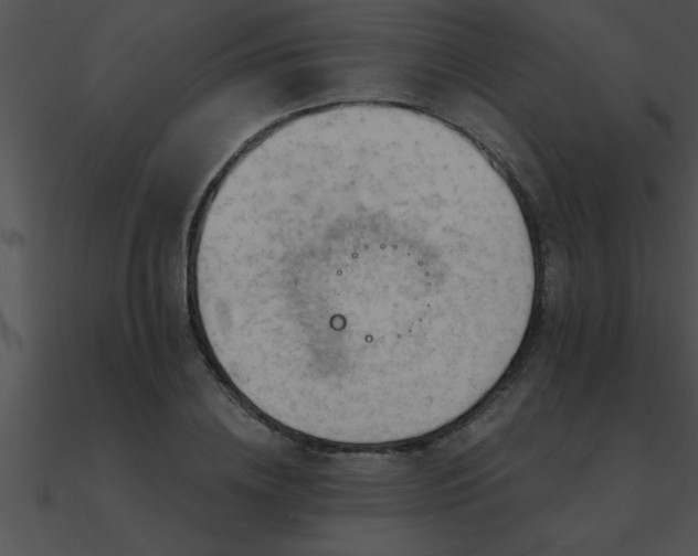 X0000090980836200708021456