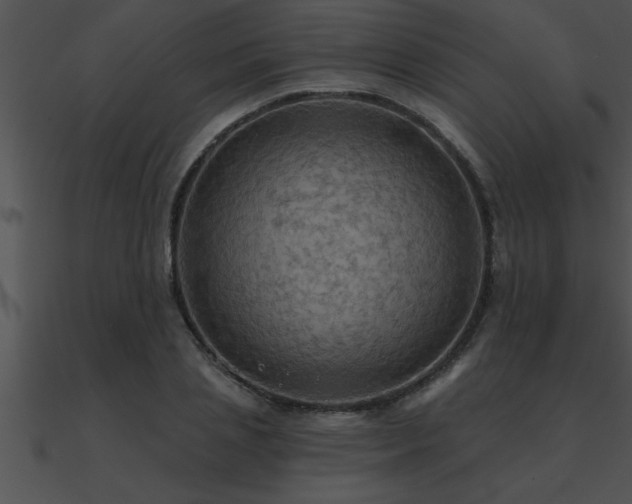 X0000090980837200708021456