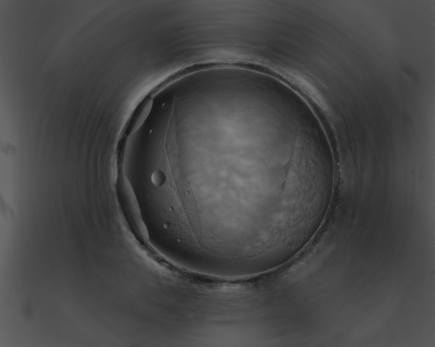 X0000090980839200708021456