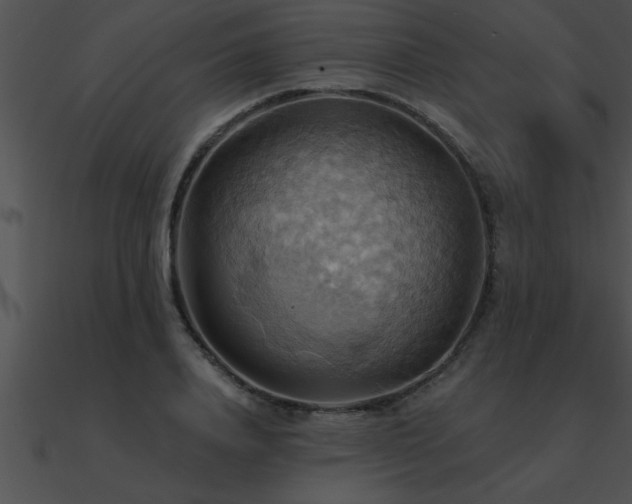 X0000090980840200708021456
