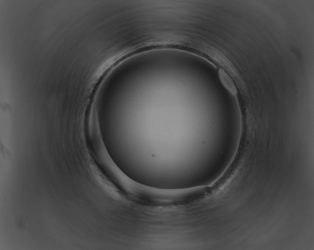 X0000090980842200708021456