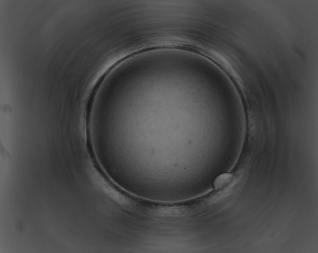 X0000090980843200708021456