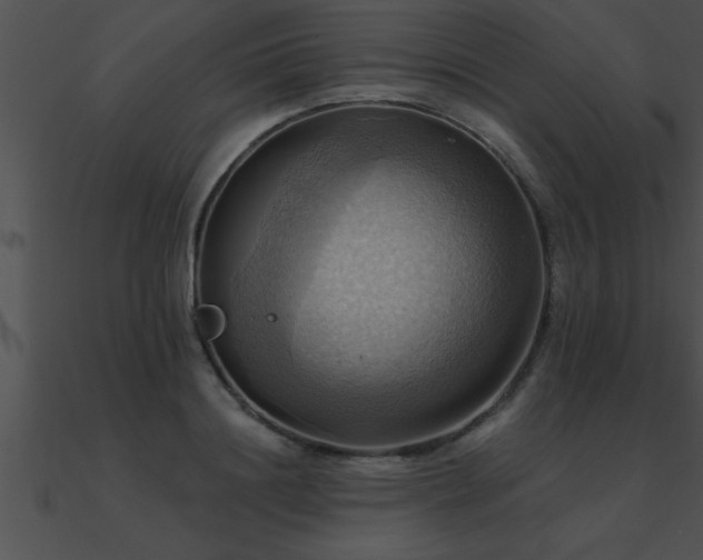 X0000090980844200708021456