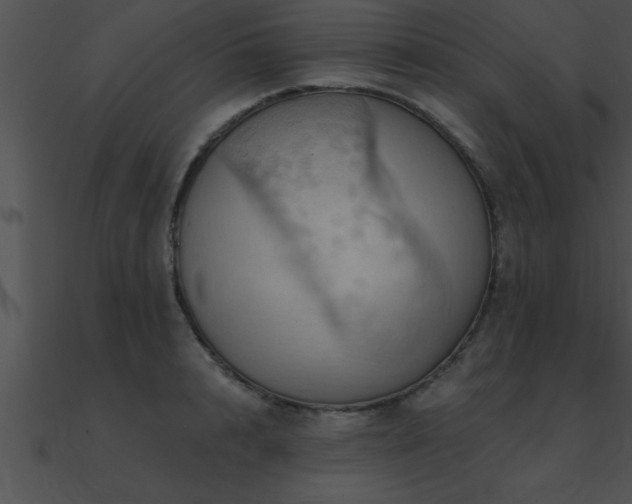 X0000090980848200708021457