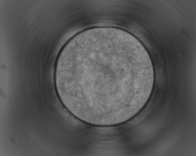 X0000090980856200708021457