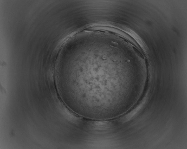 X0000090980857200708021457