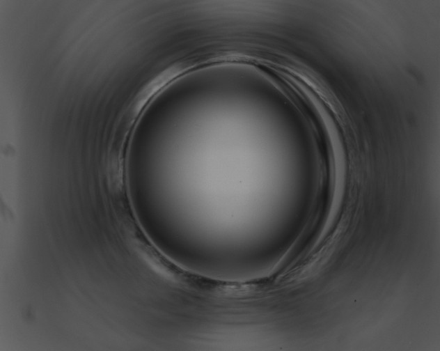 X0000090980858200708021457