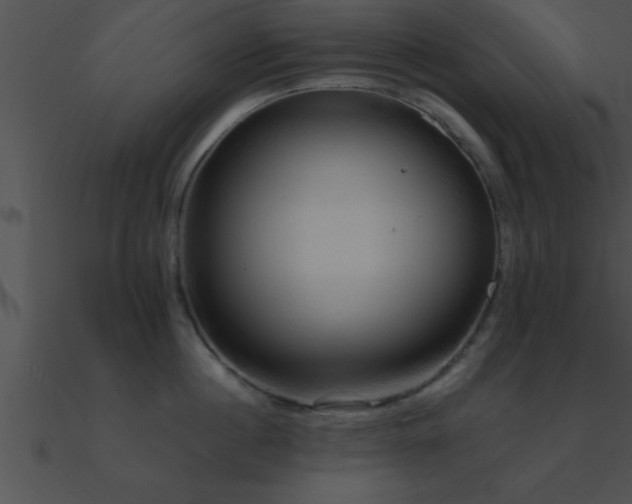 X0000090980860200708021457