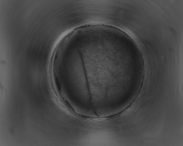 X0000090980864200708021457