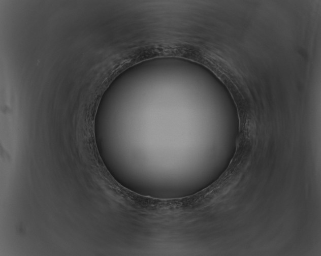 X0000090980865200708021456