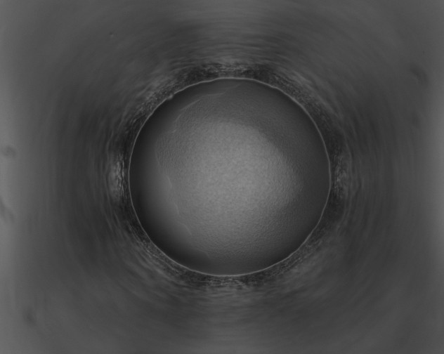 X0000090980866200708021456