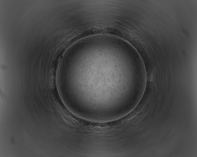 X0000090980868200708021456